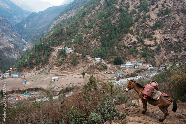 Obraz hiking in the mountains