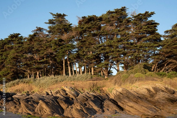 Obraz Côte de l'Ile d'Yeu