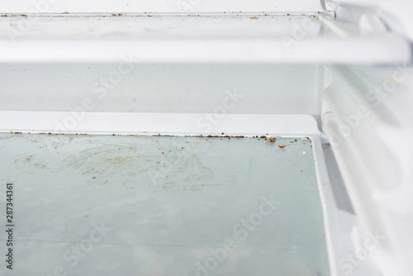 Obraz mold fungus in the freezer