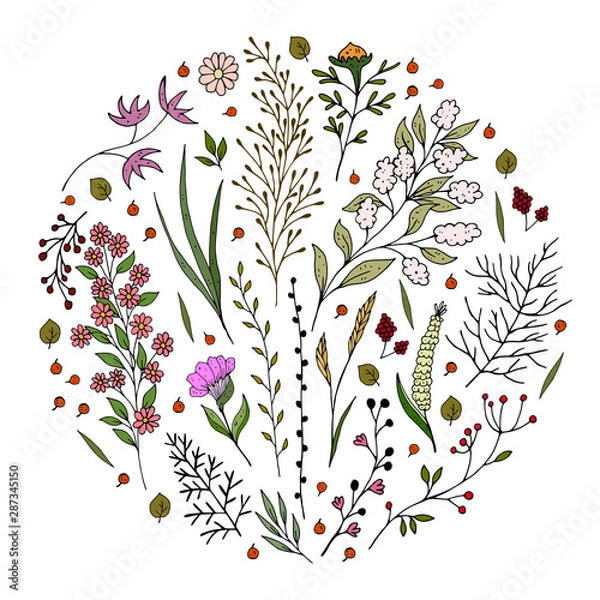 Fototapeta Cute romantic colorful set of twigs and flowers. nature theme. vector illustration. 