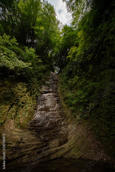 Fototapeta 森の中の岩肌を流れる滝