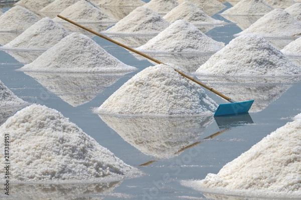 Fototapeta pile of white salt on the soil in the salt field