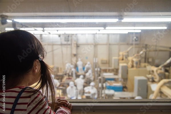 Fototapeta 工場見学をする子供