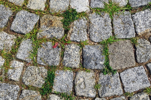 Obraz Close up view of cobblestone pavement