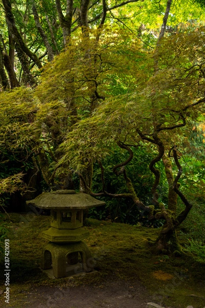 Fototapeta Stone lantern in the moss