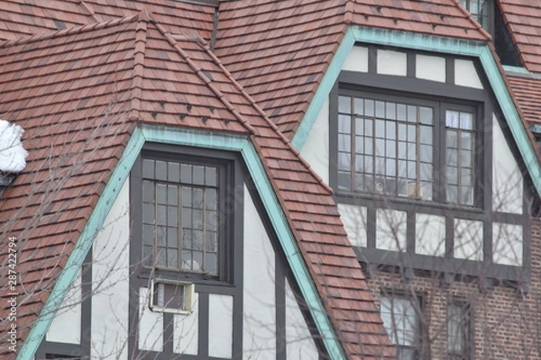 Obraz snow ib bew fork