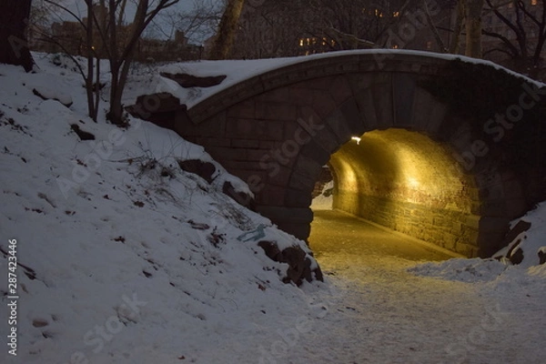 Obraz snow ib bew fork