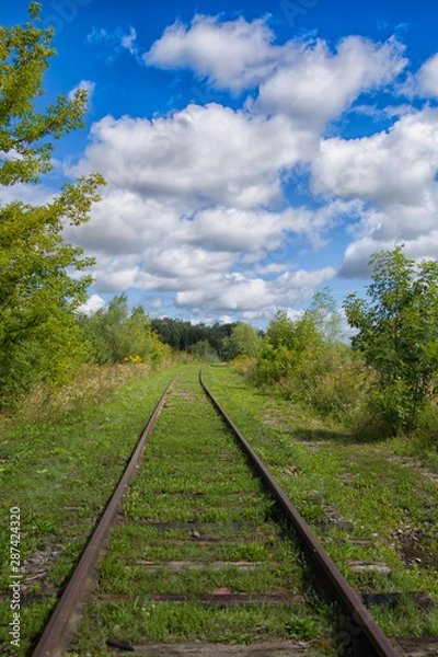 Obraz beautiful green railway