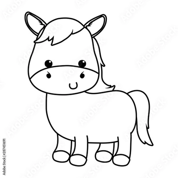 Obraz Isolated donkey cartoon vector design