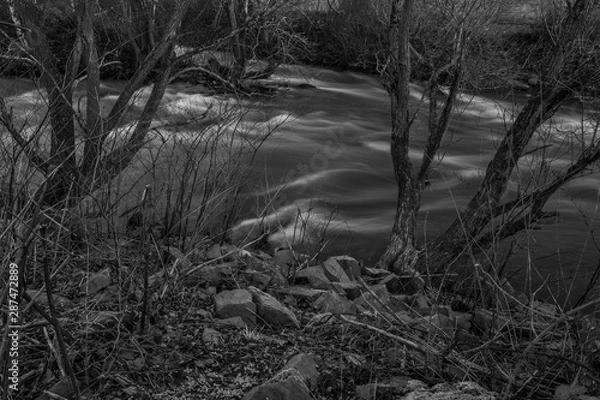 Fototapeta River in the woods in autumn