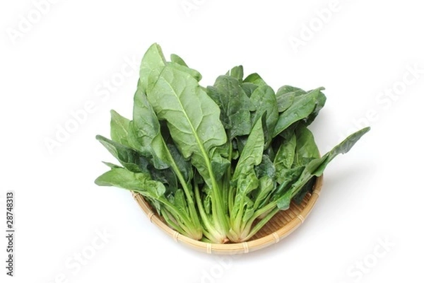 Fototapeta 寒じめほうれん草