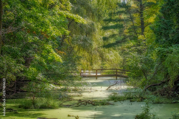 Fototapeta Bridge over swamp