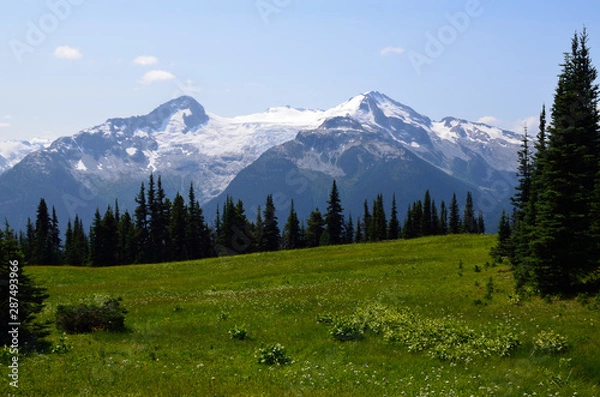 Fototapeta Landscape