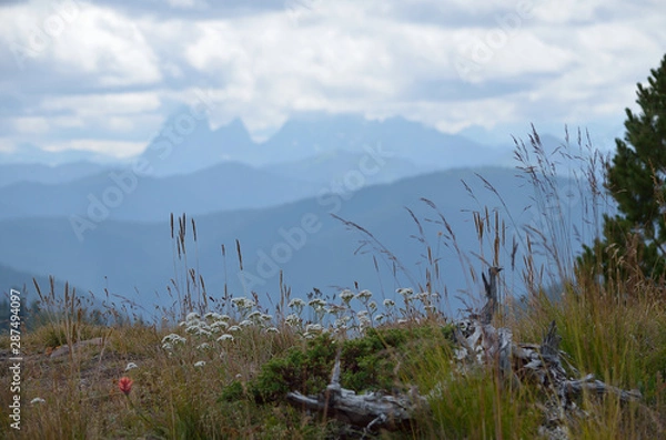 Fototapeta Landscape