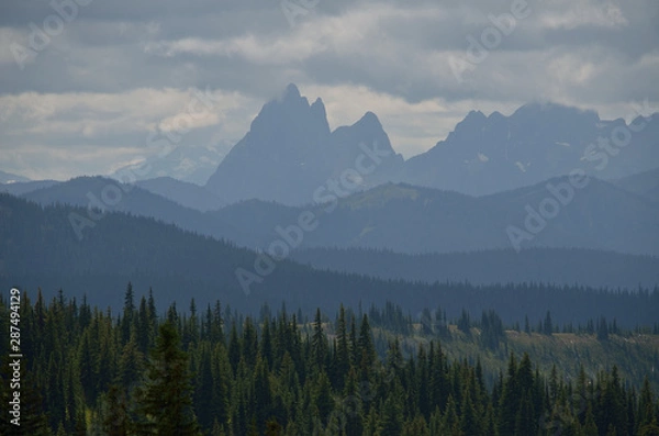 Fototapeta Landscape