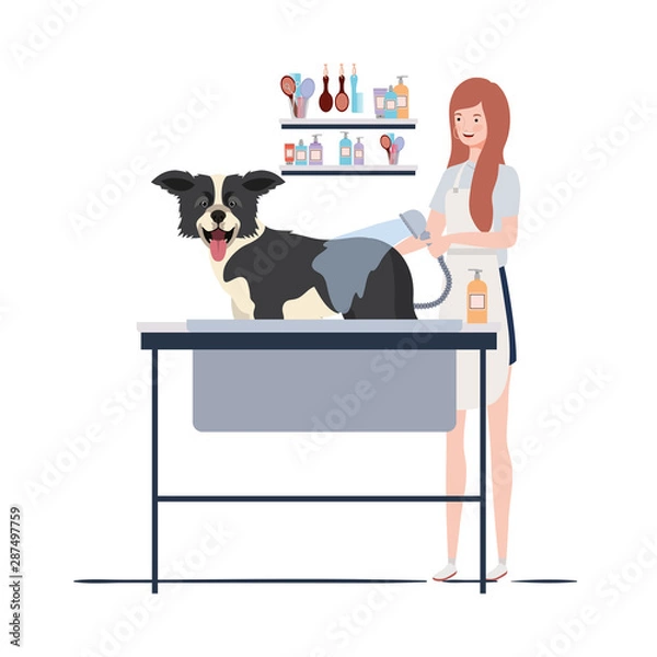 Fototapeta young woman with dog in pet groomer