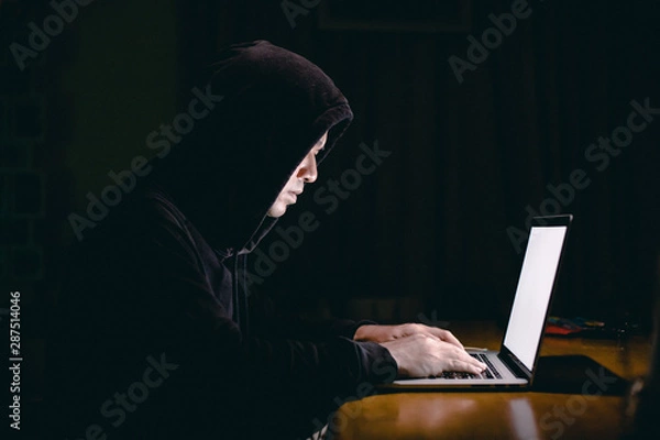 Fototapeta Hacker using laptop. Hacking the Internet