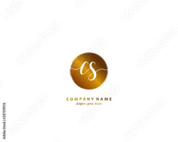 Obraz CS Initial handwriting logo vector