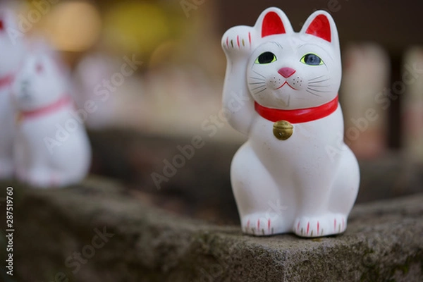 Obraz 豪徳寺の招き猫