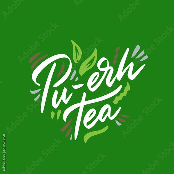 Fototapeta Pu-erh tea hand drawn illustration. Template for card banner and poster for restaurant menu and package. Vector illustration