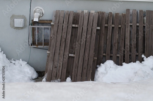 Fototapeta 雪で覆われた