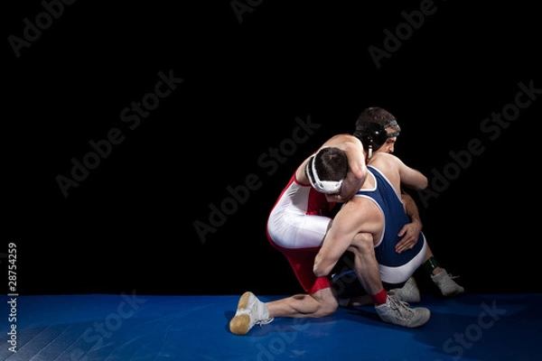 Obraz Wrestling