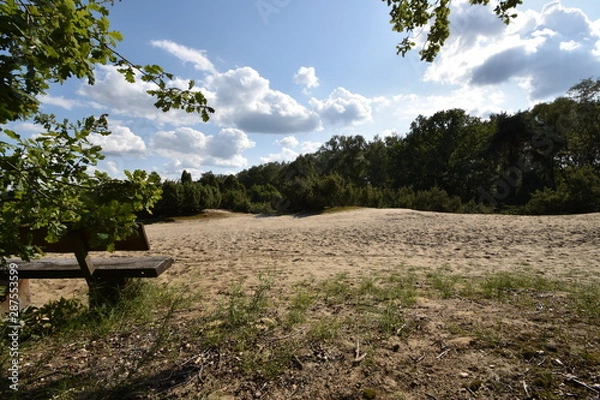 Obraz Heide Landschaft 