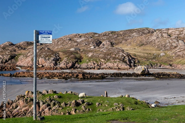 Obraz bus stop by the beach in Fionnphort
