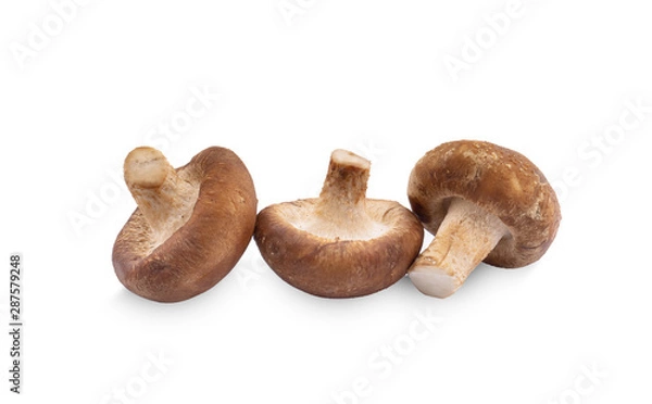 Fototapeta Shiitake mushroom on the White background
