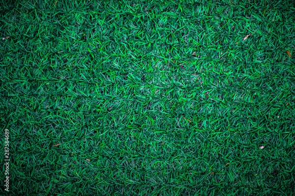 Obraz Soccer field - Green Grass natural background texture