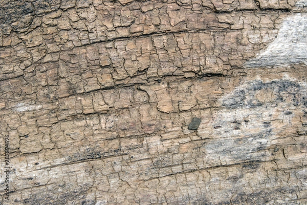 Fototapeta old wood texture