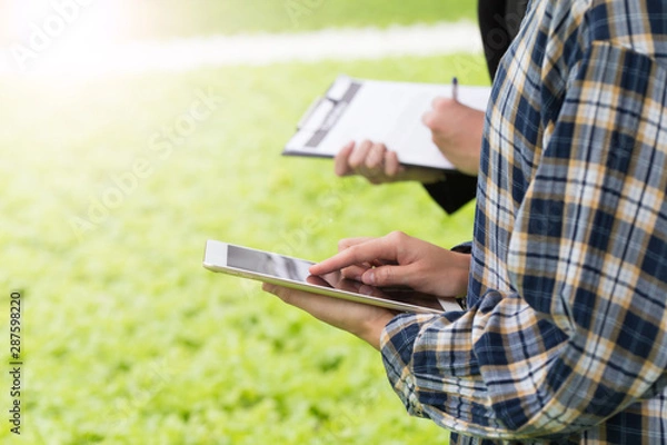 Obraz close up farmer checking agriculture quality by using tablet and technology to control.