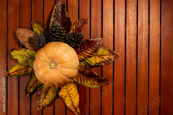Fototapeta Courge de saison automnale
