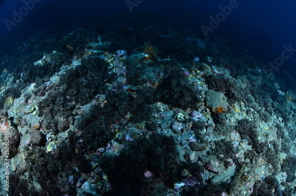Fototapeta  acuático piscina azul mar con textura natación verano claro oceáno abstracta recubrir turquesa dechado mecer olas aseado liquida diáfano mojado mecer olas acuático naturaleza alumbrado