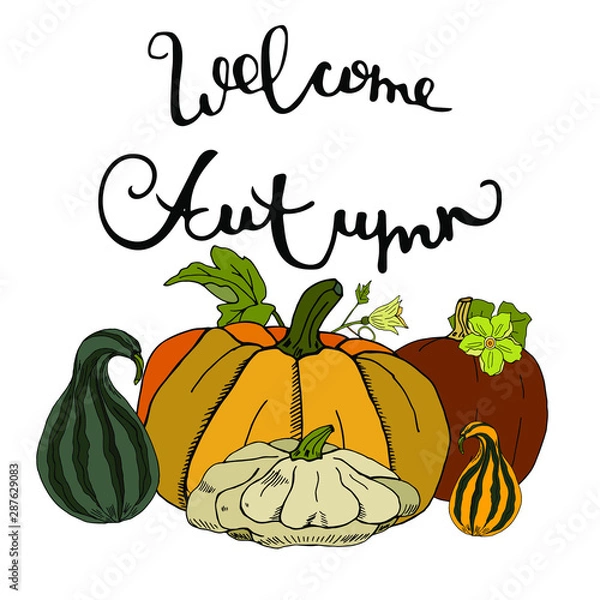 Fototapeta Greeting card with autumn pumpkins and text. Set of various pumpkins with the inscription welcome autumn on a white background.