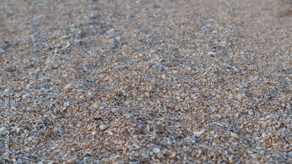 Obraz small shell rock looks like sand