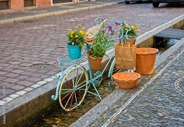 Obraz Flower bike