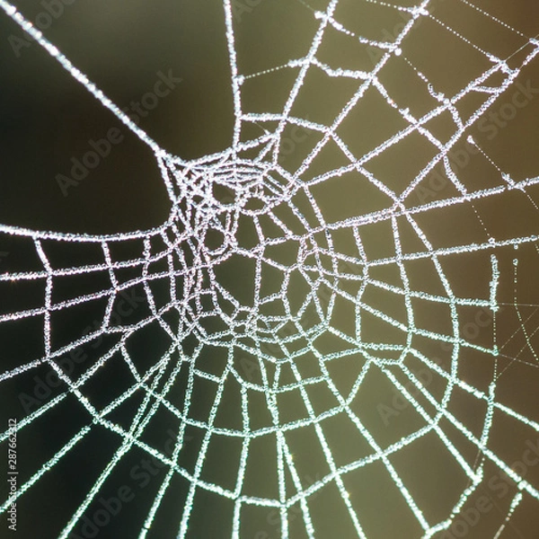 Fototapeta Iced Silk