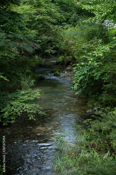 Obraz small river