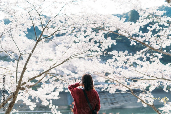 Obraz CHERRY BLOSSOM