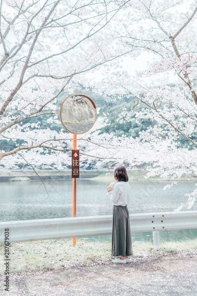 Obraz CHERRY BLOSSOM