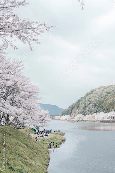 Obraz CHERRY BLOSSOM