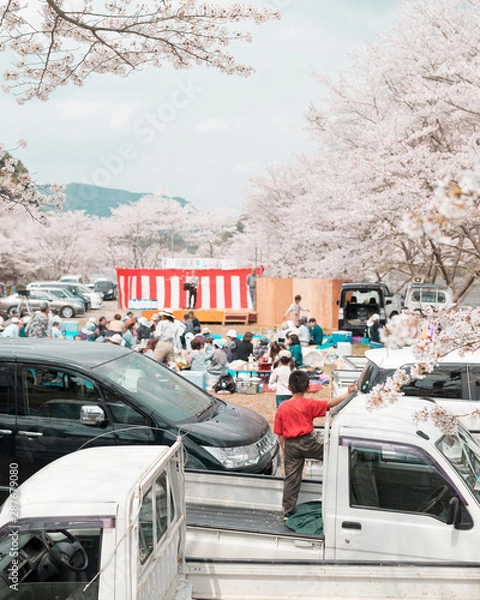 Obraz CHERRY BLOSSOM