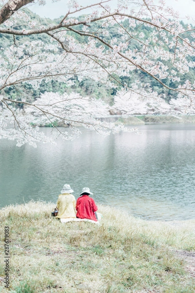 Obraz CHERRY BLOSSOM