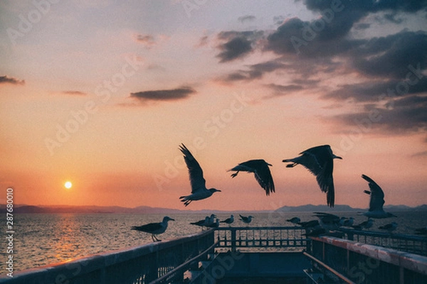 Obraz OLYMPUS DIGITAL CAMERA