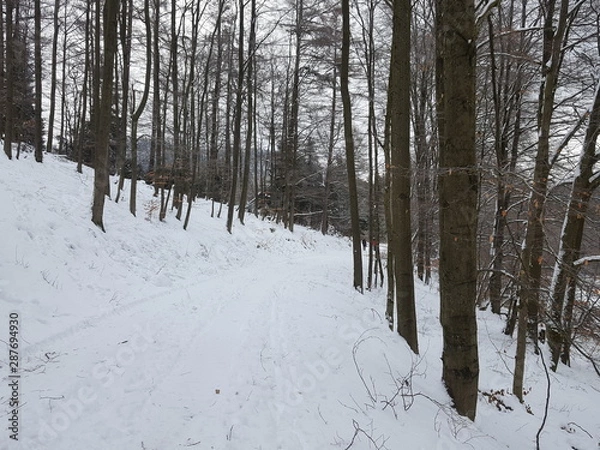 Obraz Winteridylle im Sauerland