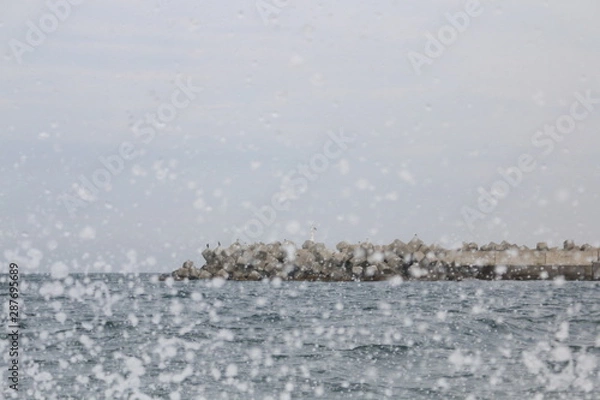 Obraz 水飛沫と鳥山