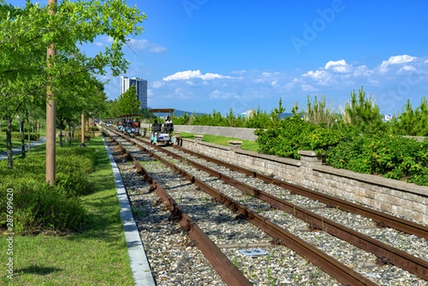 Obraz 시원한 해변이 보이는 레일바이크