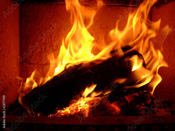 Obraz feuer
