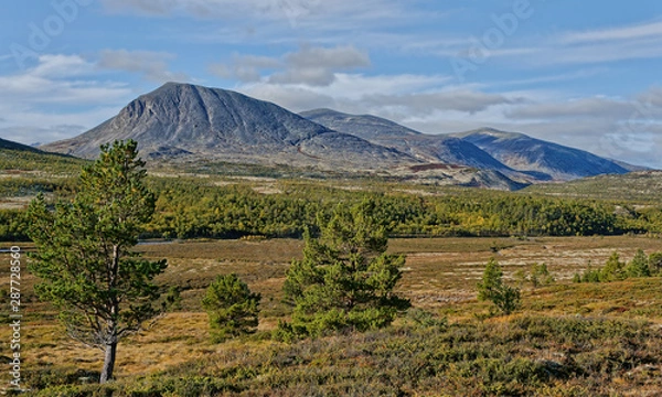Obraz Norway. September in Rondane National Park